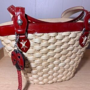 Brighton Ladybug 🐞 Woven Bag